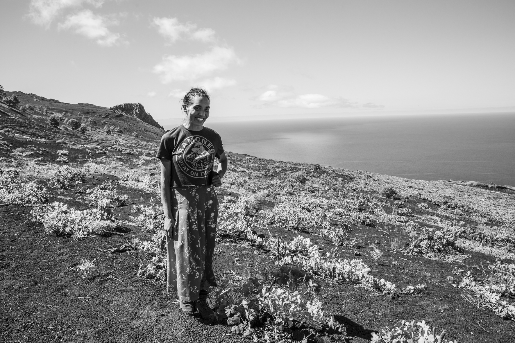 THE NEW WAVE OF SPAIN | HERDER ZEHN